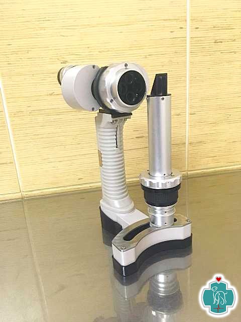 oftalmologiya  7  oftalmologiya  7