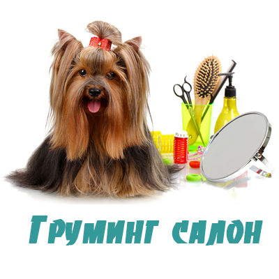 Груминг салон  - стрижка собак и кожек в Павловской Слободе.