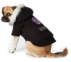 Зимняя одежда для собак на заказ в Истре