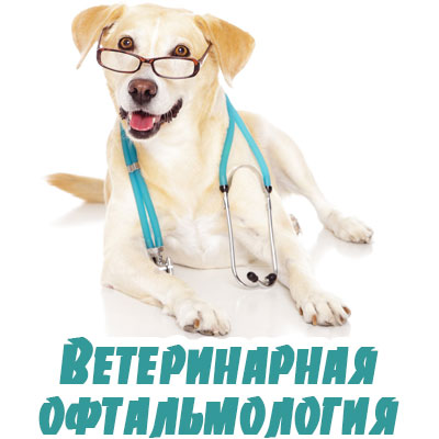 veterinarnaya oftalmologiya