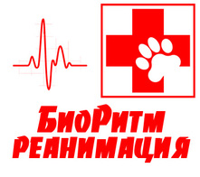БиоРитм реанимационная клиника для животных в Павловской Слободе